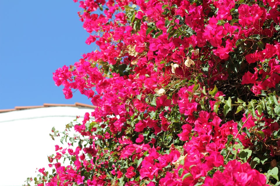 波動の法則とは 波動の法則とは