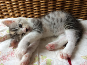 波動の特徴と波動を上げる方法 波動の特徴と波動を上げる方法