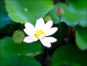 オーラとオーラの特徴について